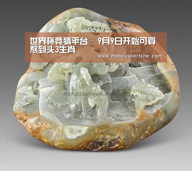 世界杯买球官网