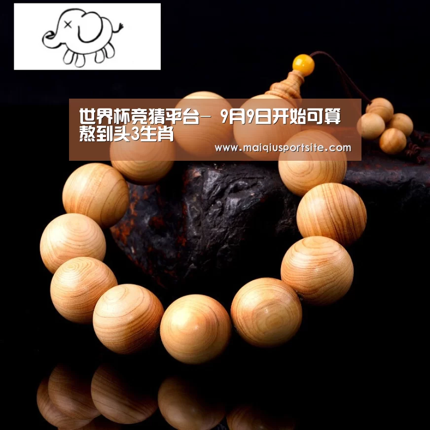 2026世界杯买球官网