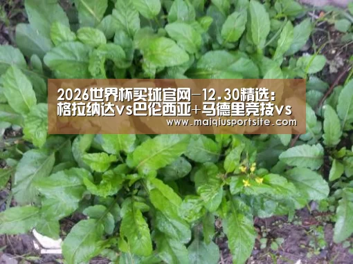 2026世界杯买球官网-12.30精选:格拉纳达vs巴伦西亚+马德里竞技vs赫塔费(图2) 世界杯买球官网