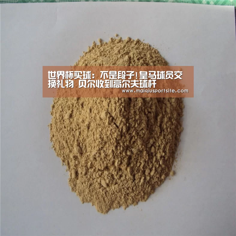 世界杯买球:不是段子!皇马球员交换礼物 贝尔收到高尔夫球杆(图1) 世界杯买球