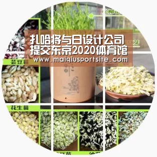 世界杯买球官网